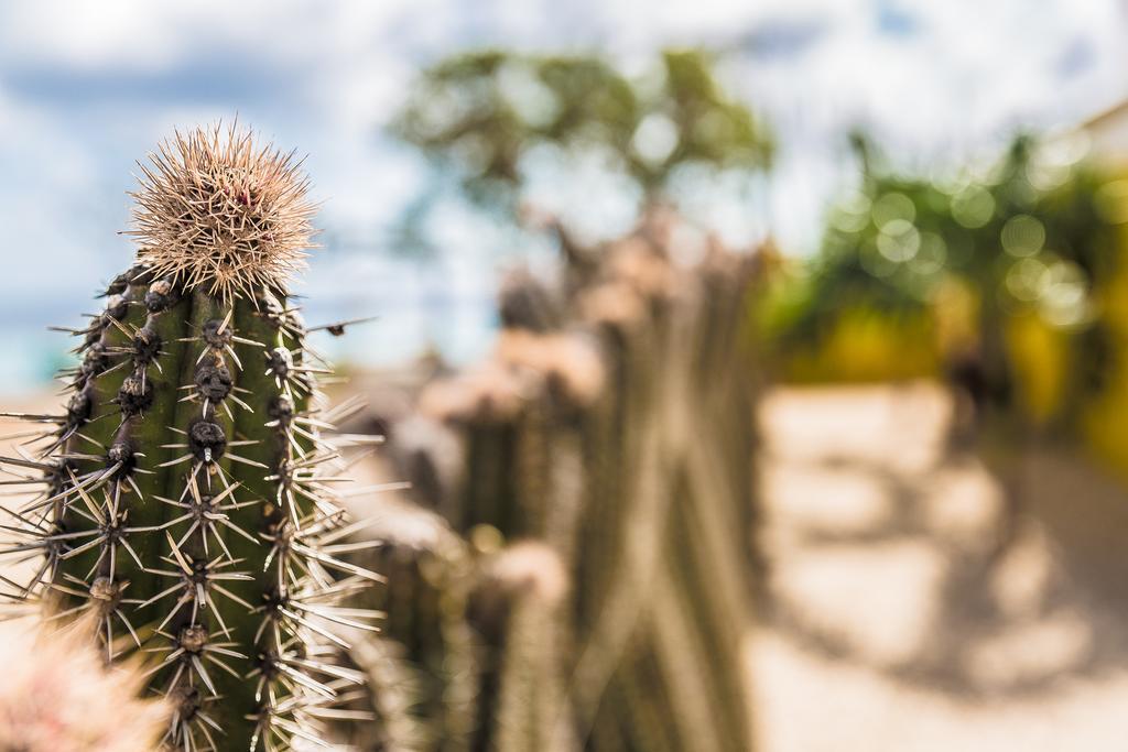 Appartamento Kas Hamaka Playa Esterno foto